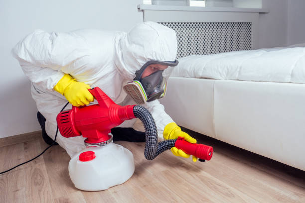 Professional Pest Control in Parowan, UT